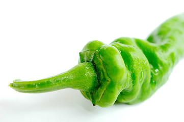 Image showing Green pepper