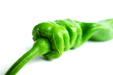 Image showing Green pepper