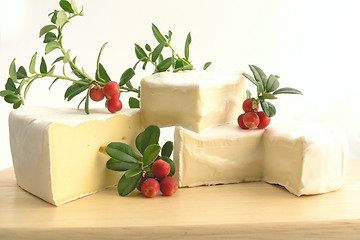 Image showing cheese