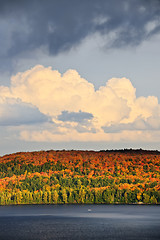 Image showing Fall forest and lake