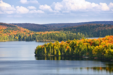 Image showing Fall forest and lake