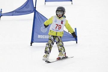 Image showing Two legs, one ski