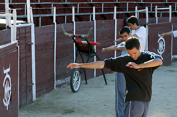 Image showing bullfighter