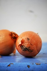 Image showing Two onions