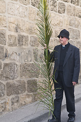 Image showing Jerusalem Palm sunday