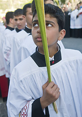 Image showing Jerusalem Palm sunday