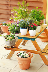 Image showing Flower pots