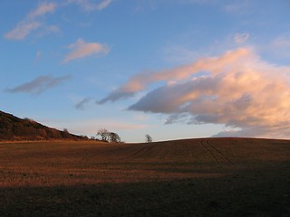 Image showing field @ scotland