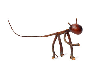 Image showing Chestnuts Toy