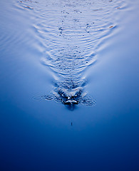 Image showing pool water great as a background