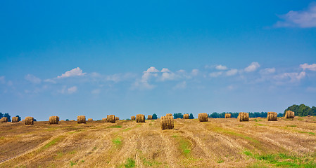 Image showing round bale of straw in the field