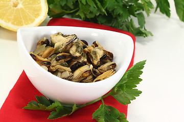 Image showing marinated mussels with italian parsley