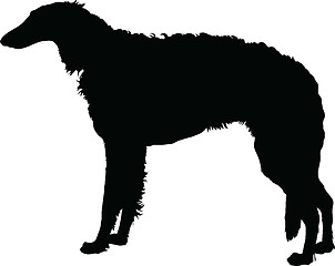 Image showing Borzoi