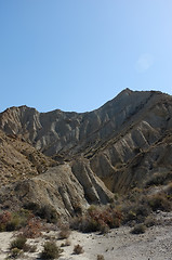 Image showing Tabernas desert