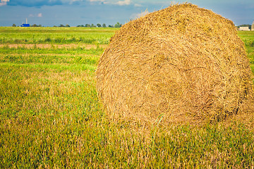 Image showing harvested field with straw bales in summer