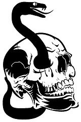 Image showing Skull with Snake Clip Art