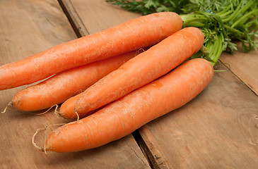 Image showing Raw Carrots