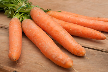 Image showing Raw Carrots