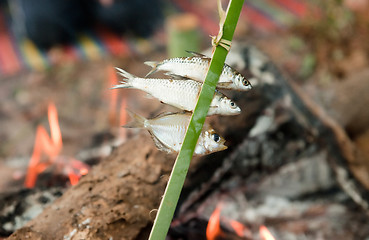 Image showing small fish cooking over fire