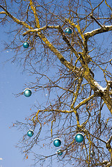 Image showing snow on blue christmas toys decoration hang branch 