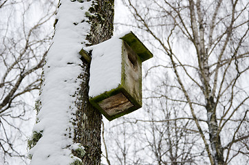 Image showing bird nesting box snowy attached birch tree winter 