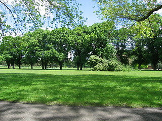 Image showing Park