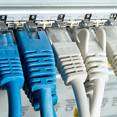 Image showing network cables