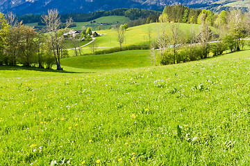 Image showing alpine landscape