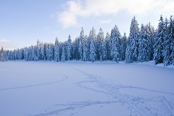 Image showing fresh snow in the mountains