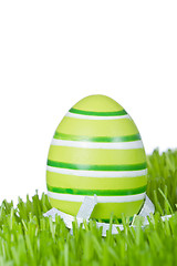 Image showing easter egg in grass