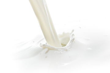 Image showing milk splash