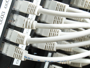 Image showing network cables