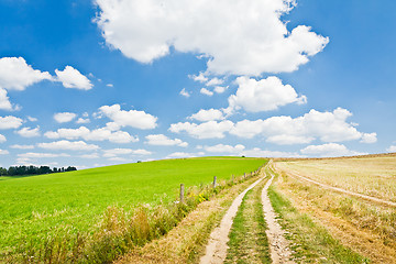 Image showing agriculture landscape