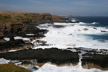 Image showing Nobbies and Seal Rocks