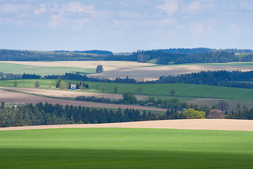 Image showing green field