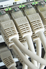 Image showing network cables