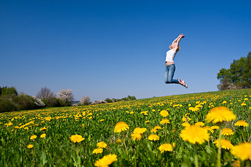 Image showing happy young woman on meadow