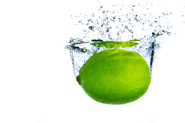 Image showing lime splashing