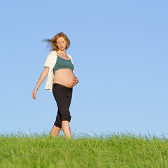 Image showing pregnant woman on meadow