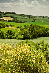 Image showing Typical Tuscan landscape