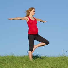 Image showing pregnant woman on meadow