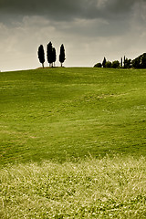 Image showing Typical Tuscan landscape