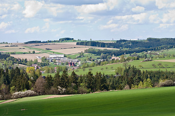 Image showing green field