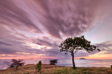 Image showing Seraya Island, Indonesia