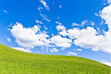 Image showing green field