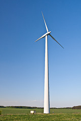 Image showing windmill  farm