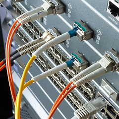 Image showing network cables