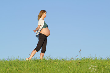 Image showing pregnant woman on meadow