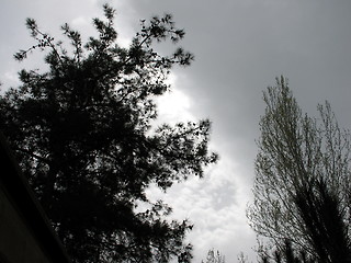 Image showing Hiding the sun. Cyprus