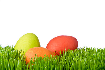 Image showing easter eggs in grass